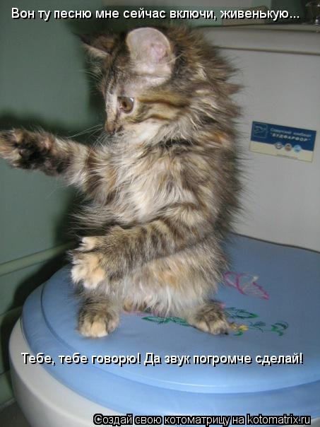 Котоматрица: Вон ту песню мне сейчас включи, живенькую... Тебе, тебе говорю! Да звук погромче сделай!