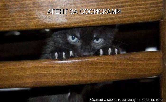 Котоматрица: АГЕНТ ЗА СОСИСКАМИ