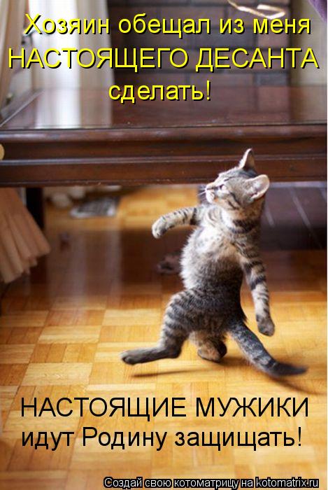 Котоматрица: Хозяин обещал из меня НАСТОЯЩЕГО ДЕСАНТА сделать!  НАСТОЯЩИЕ МУЖИКИ идут Родину защищать!