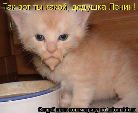Котоматрица: Так вот ты какой, дедушка Ленин!