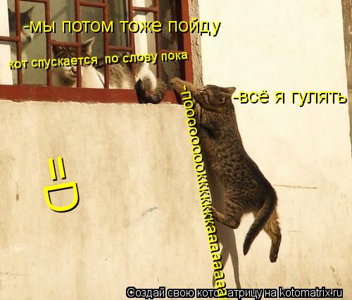 Котоматрица: -всё я гулять -мы потом тоже пойду кот спускается  по слову пока =D -поооооооокккккккааааааааа