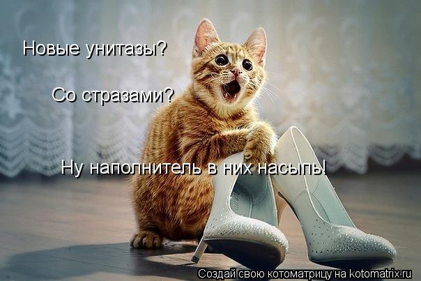 Котоматрица: Со стразами? Новые унитазы? Ну наполнитель в них насыпь!