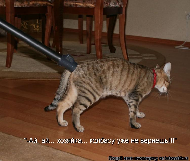 Котоматрица: "-Ай, ай... хозяйка... колбасу уже не вернешь!!!"