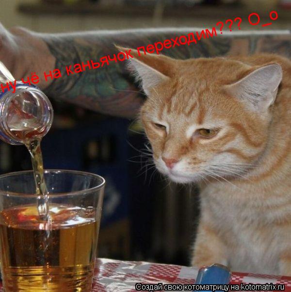 Котоматрица: ну чё на каньячок переходим??? О_о