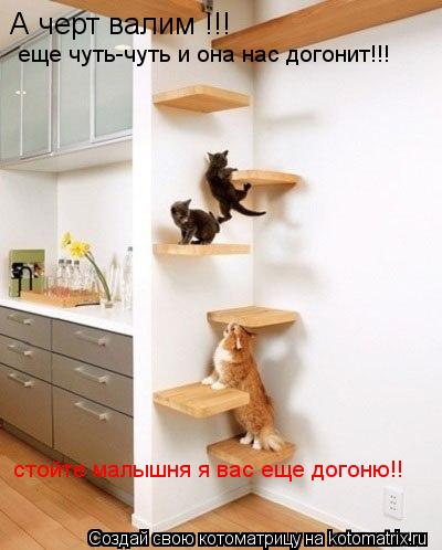 Котоматрица: А черт валим !!! еще чуть-чуть и она нас догонит!!! стойте малышня я вас еще догоню!!