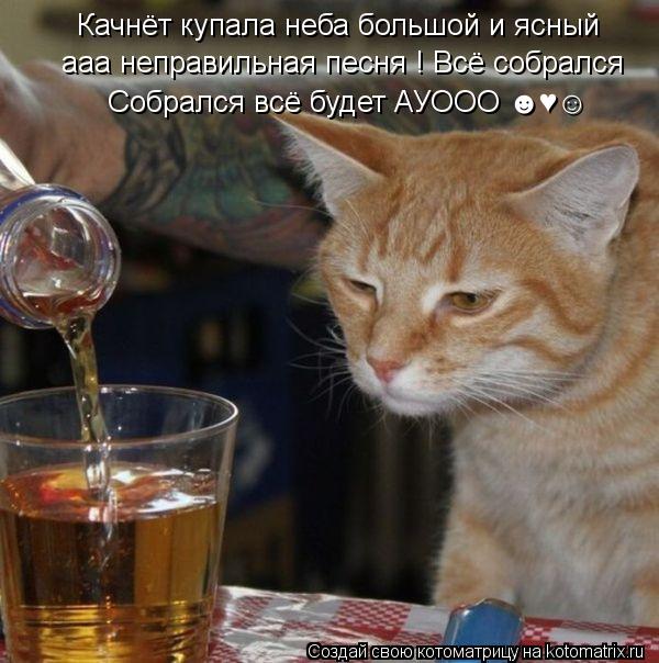 Котоматрица: Качнёт купала неба большой и ясный ааа неправильная песня ! Всё собрался Собрался всё будет АУООО &#9787;&#9829;&#9786;