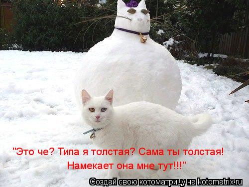 Котоматрица: "Это че? Типа я толстая? Сама ты толстая! Намекает она мне тут!!!"