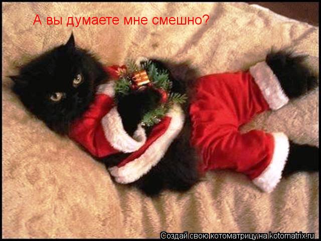 Котоматрица: А вы думаете мне смешно?