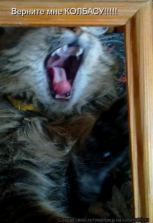 Котоматрица: Верните мне КОЛБАСУ!!!!!