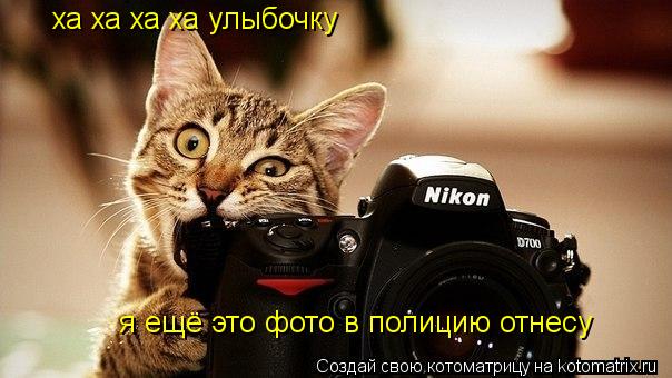 Котоматрица: ха ха ха ха улыбочку я ещё это фото в полицию отнесу