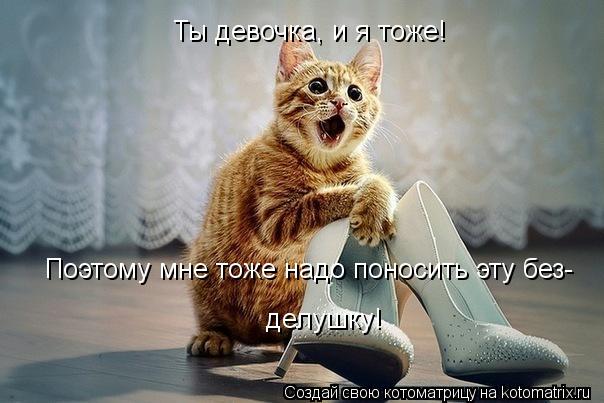Котоматрица: Ты девочка, и я тоже! Поэтому мне тоже надо поносить эту без- делушку!