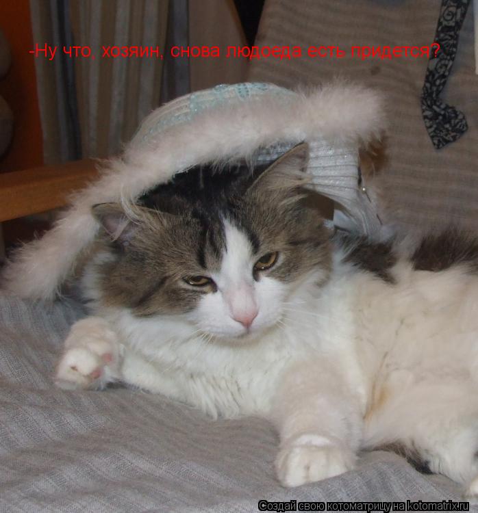 Котоматрица: -Ну что, хозяин, снова людоеда есть придется?
