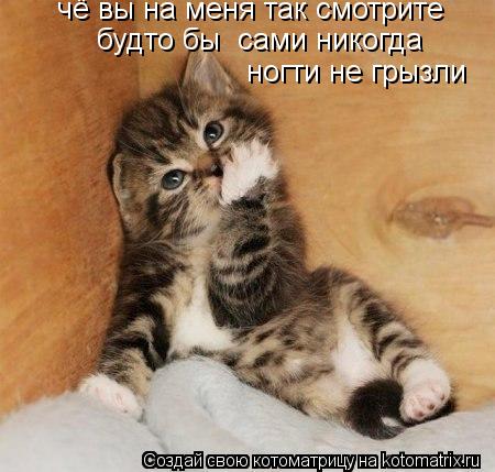 Котоматрица: чё вы на меня так смотрите будто бы  сами никогда  ногти не грызли