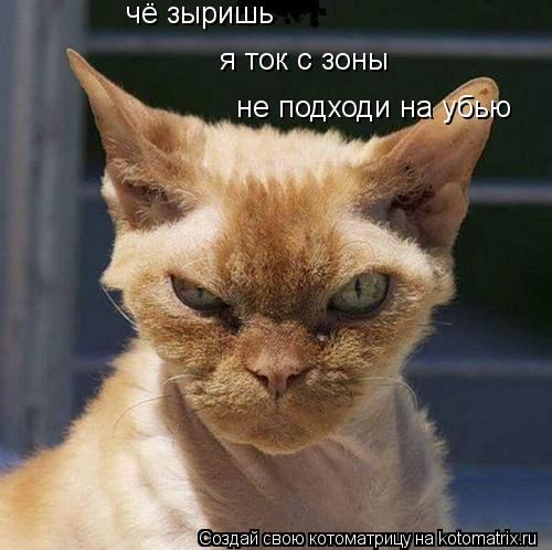 Котоматрица: чё зыришь я ток с зоны не подходи на убью