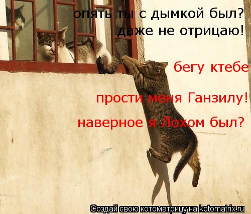 бегу ктебе! опять ты с дымкой был? прости меня Ганзилу! наверное я Лохом был? даже не отрицаю!... Котоматрица: бегу ктебе! опять ты с дымкой был? прости меня Ганзилу! наверное я Лохом был? даже не отрицаю!