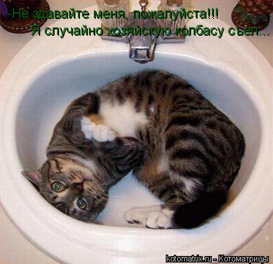 -Не здавайте меня, пожалуйста!!! Я случайно хозяйскую колбасу съел...... Котоматрица: -Не здавайте меня, пожалуйста!!! Я случайно хозяйскую колбасу съел...