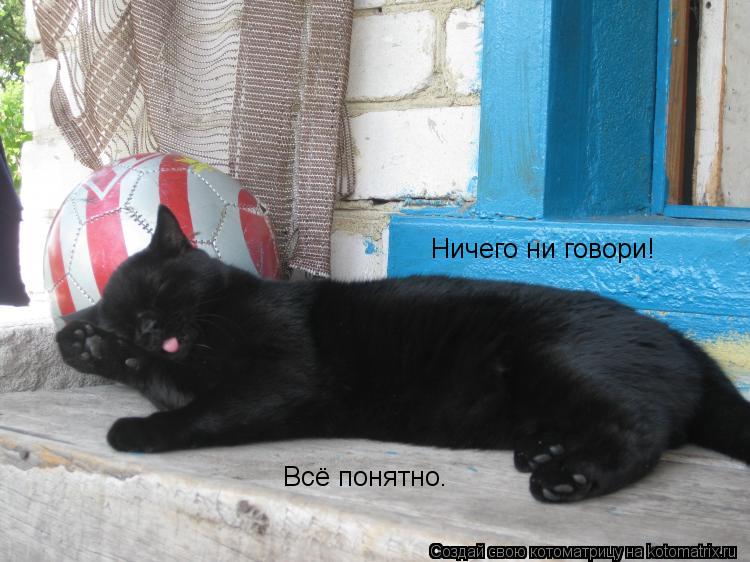 Ничего ни говори! Всё понятно.... Котоматрица: Ничего ни говори! Всё понятно.