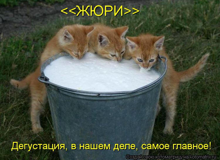 <<ЖЮРИ>> Дегустация, в нашем деле, самое главное!... Котоматрица: <<ЖЮРИ>> Дегустация, в нашем деле, самое главное!