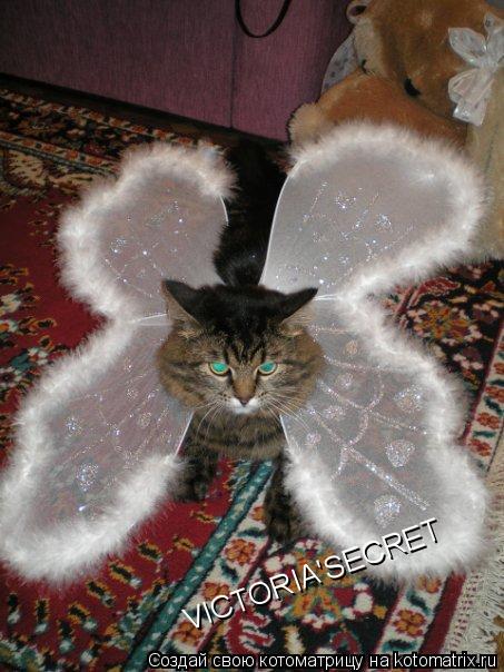 VICTORIA'SECRET... Котоматрица: VICTORIA'SECRET