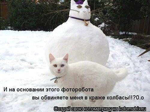 И на основании этого фоторобота вы обвиняете меня в краже колбасы!!?0.о... Котоматрица: И на основании этого фоторобота вы обвиняете меня в краже колбасы!!?0.о