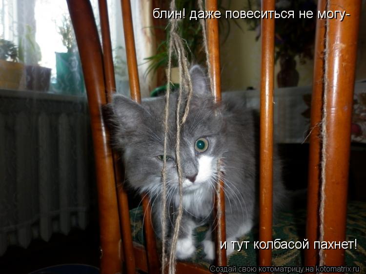 блин! даже повеситься не могу- и тут колбасой пахнет!... Котоматрица: блин! даже повеситься не могу- и тут колбасой пахнет!