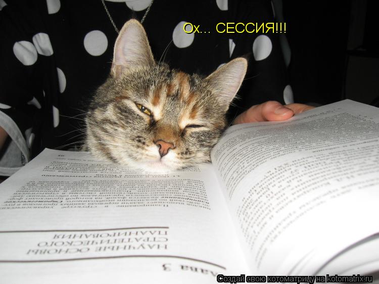 Ох... СЕССИЯ!!!... Котоматрица: Ох... СЕССИЯ!!!