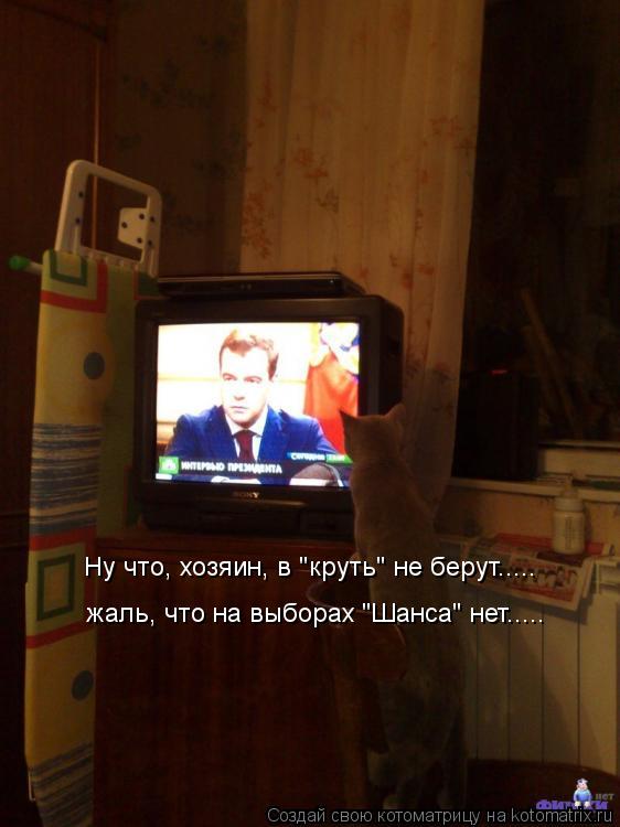 Котоматрица: Ну что, хозяин, в "круть" не берут..... жаль, что на выборах "Шанса" нет.....