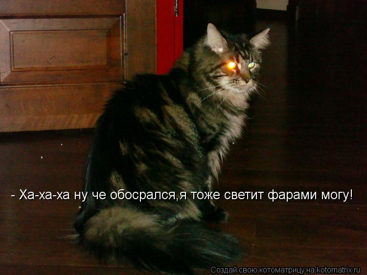Котоматрица: - Ха-ха-ха ну че обосрался,я тоже светит фарами могу!