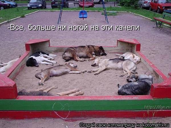 -Все, больше ни ногой на эти качели... Котоматрица: -Все, больше ни ногой на эти качели