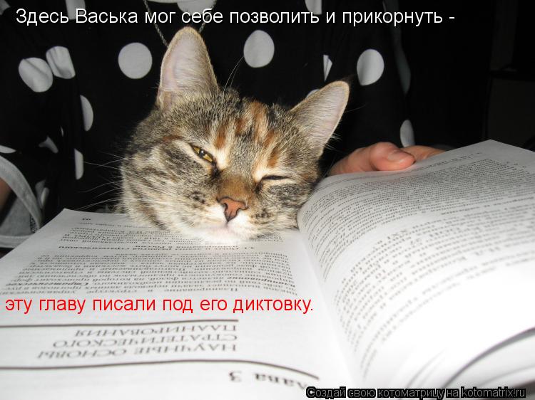 Котоматрица: Здесь Васька мог себе позволить и прикорнуть - эту главу писали под его диктовку.