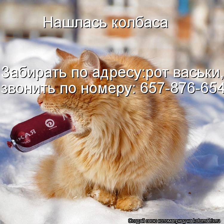 Котоматрица: Нашлась колбаса Забирать по адресу:рот васьки, звонить по номеру: 657-876-654