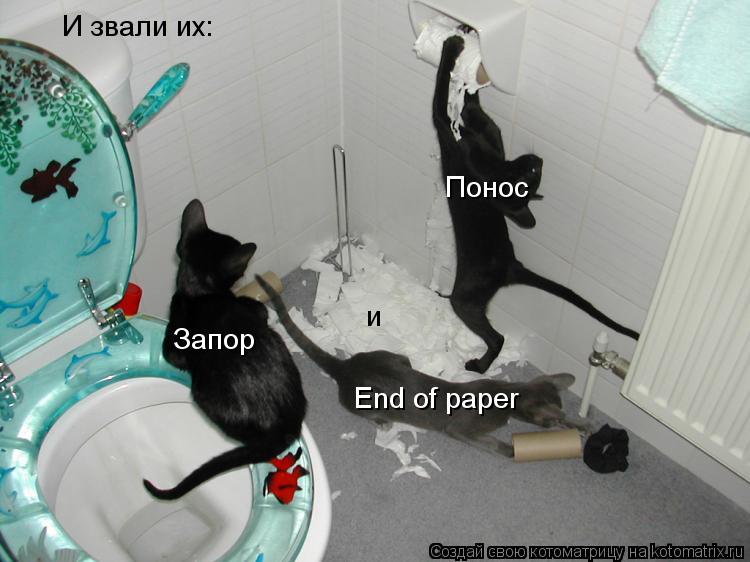 Котоматрица: И звали их: Понос Запор и End of paper