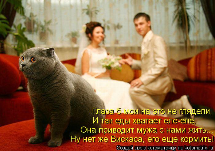 Глаза б мои на это не глядели, И так еды хватает еле-еле, Она приводит мужа с нами жить... Ну нет же ... Котоматрица: Глаза б мои на это не глядели, И так еды хватает еле-еле, Она приводит мужа с нами жить... Ну нет же Вискаса, его еще кормить!