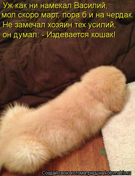 Уж как ни намекал Василий, мол скоро март, пора б и на чердак. Не замечал хозяин тех усилий, он д... Котоматрица: Уж как ни намекал Василий, мол скоро март, пора б и на чердак. Не замечал хозяин тех усилий, он думал: - Издевается кошак!