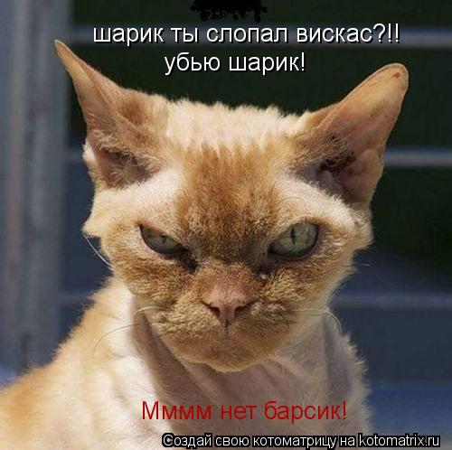 шарик ты слопал вискас?!! Мммм нет барсик! убью шарик!... Котоматрица: шарик ты слопал вискас?!! Мммм нет барсик! убью шарик!