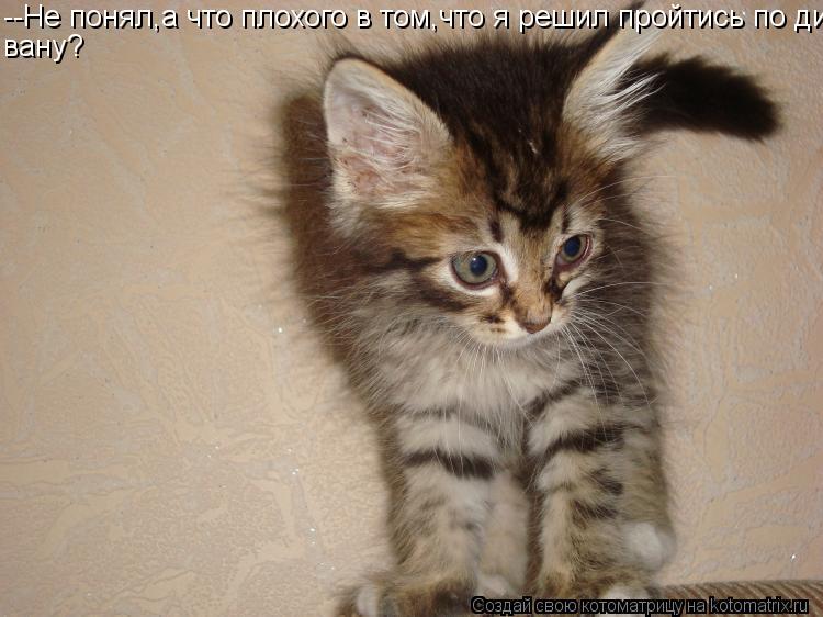 --Не понял,а что плохого в том,что я решил пройтись по ди- вану?... Котоматрица: --Не понял,а что плохого в том,что я решил пройтись по ди- вану?