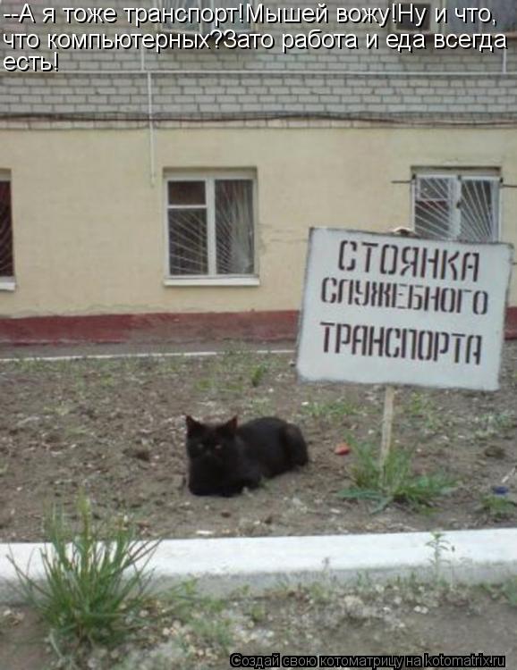 Котоматрица: --А я тоже транспорт!Мышей вожу!Ну и что, что компьютерных?Зато работа и еда всегда есть!