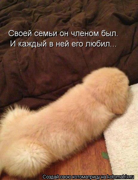 Своей семьи он членом был. И каждый в ней его любил...... Котоматрица: Своей семьи он членом был. И каждый в ней его любил...
