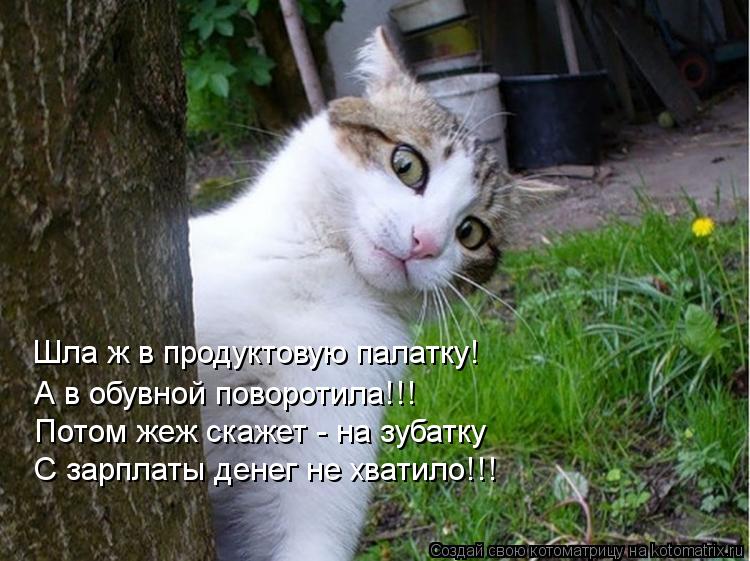 Шла ж в продуктовую палатку! А в обувной поворотила!!! Потом жеж скажет - на зубатку С зарплаты дене... Котоматрица: Шла ж в продуктовую палатку! А в обувной поворотила!!! Потом жеж скажет - на зубатку С зарплаты денег не хватило!!!