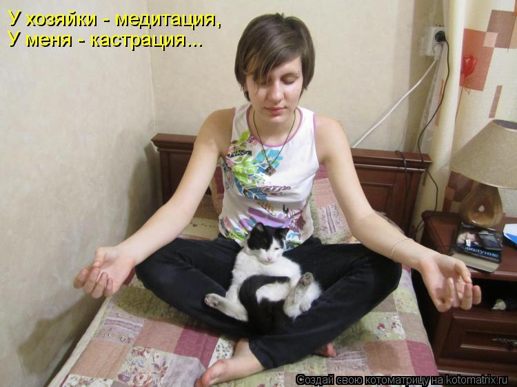 Котоматрица: У хозяйки - медитация, У меня - кастрация...