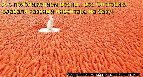 Котоматрица: А с приближением весны,  все Снеговики  сдавали казеный инвентарь на базу!