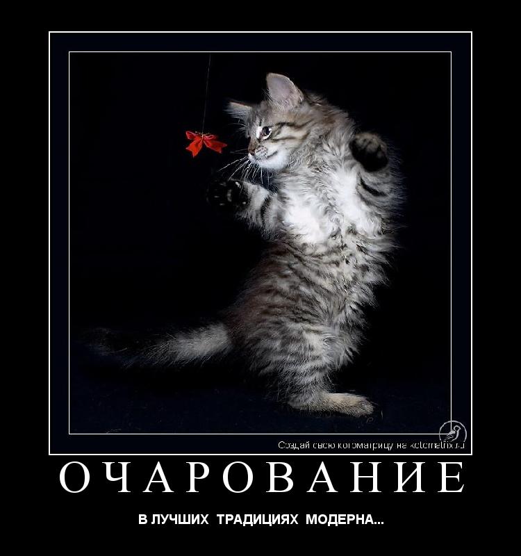 ОЧАРОВАНИЕ В ЛУЧШИХ ТРАДИЦИЯХ МОДЕРНА...... Котоматрица: ОЧАРОВАНИЕ В ЛУЧШИХ ТРАДИЦИЯХ МОДЕРНА...