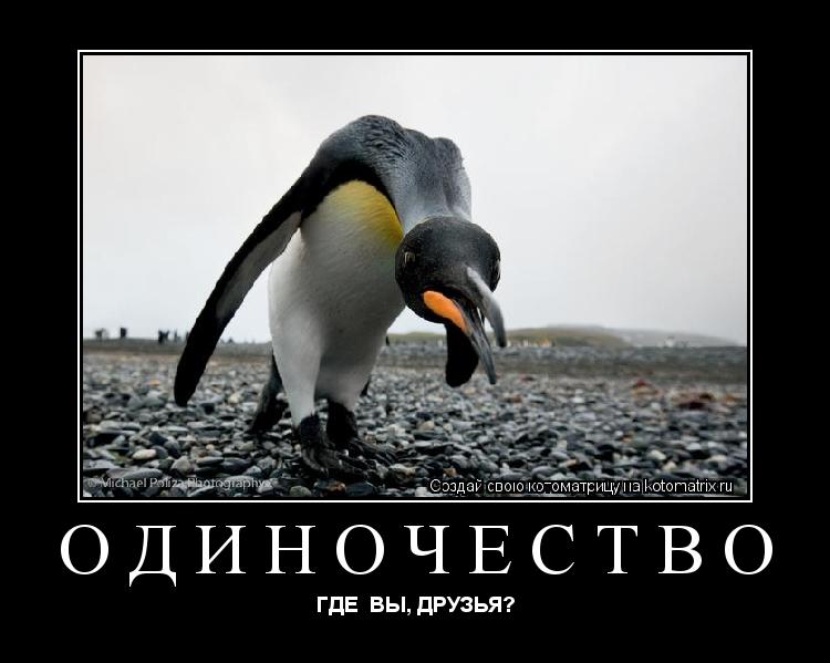 ОДИНОЧЕСТВО ГДЕ ВЫ, ДРУЗЬЯ?... Котоматрица: ОДИНОЧЕСТВО ГДЕ ВЫ, ДРУЗЬЯ?