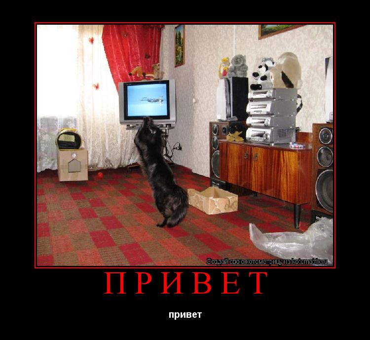 привет привет... Котоматрица: привет привет