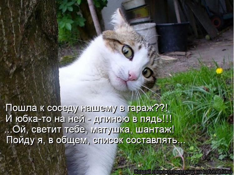 Пошла к соседу нашему в гараж??! И юбка-то на ней - длиною в пядь!!! ...Ой, светит тебе, матушка, шан... Котоматрица: Пошла к соседу нашему в гараж??! И юбка-то на ней - длиною в пядь!!! ...Ой, светит тебе, матушка, шантаж! Пойду я, в общем, список составлять...