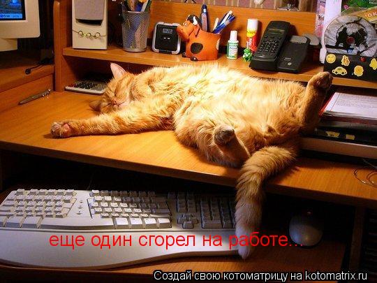 еще один сгорел на работе...... Котоматрица: еще один сгорел на работе...