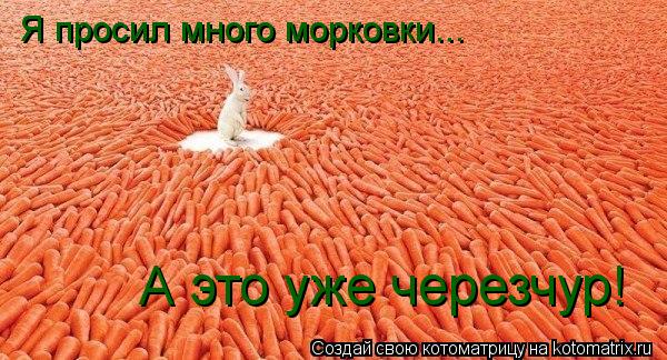 Я просил много морковки... А это уже черезчур!... Котоматрица: Я просил много морковки... А это уже черезчур!