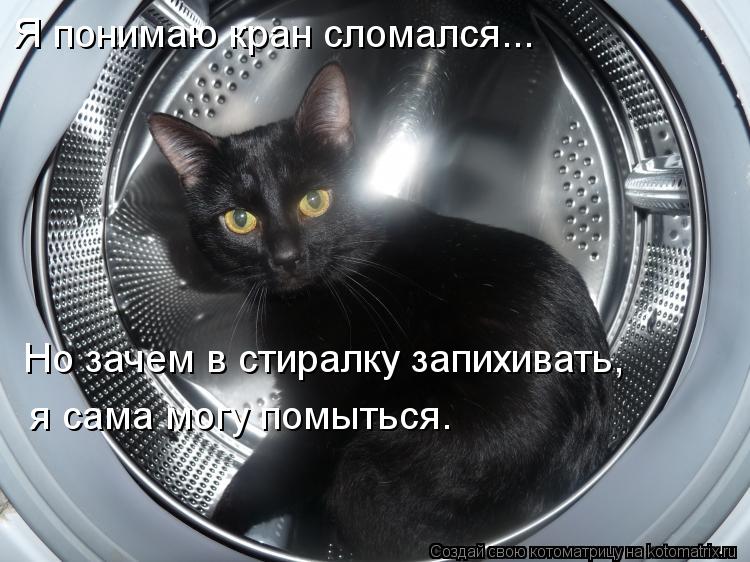 Я понимаю кран сломался... Но зачем в стиралку запихивать, я сама могу помыться.... Котоматрица: Я понимаю кран сломался... Но зачем в стиралку запихивать, я сама могу помыться.