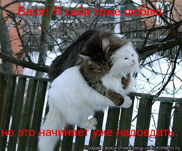Вася! Я тебя тоже люблю, но это начинает уже надоедать.... Котоматрица: Вася! Я тебя тоже люблю, но это начинает уже надоедать.