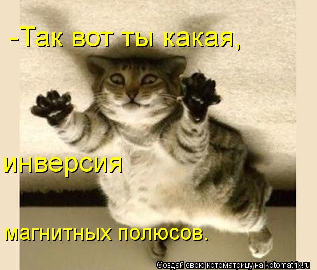 -Так вот ты какая, инверсия магнитных полюсов.... Котоматрица: -Так вот ты какая, инверсия магнитных полюсов.